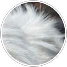 materias-prima-colchoes-biflex